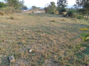  Residential Plot for Sale in Bangana, Una