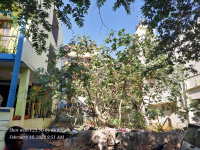  Residential Plot for Sale in Doddabidarakallu, Bangalore