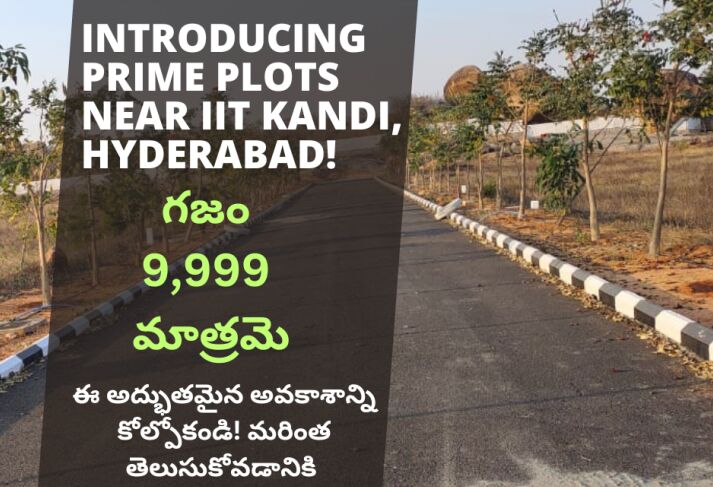  Residential Plot 660 Sq. Yards for Sale in Kandi, Sangareddy