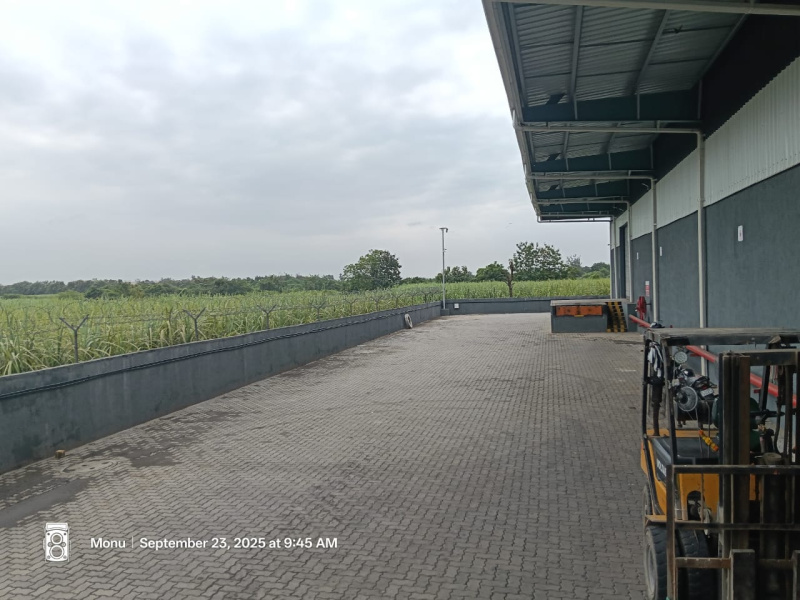  100000 Sq.ft. Warehouse for Rent in Hazira, Surat