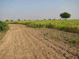  Industrial Land for Sale in Panoli GIDC, Bharuch