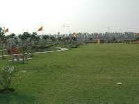 Agricultural Land 12300 Sq. Yards for Sale in Dumas, Surat