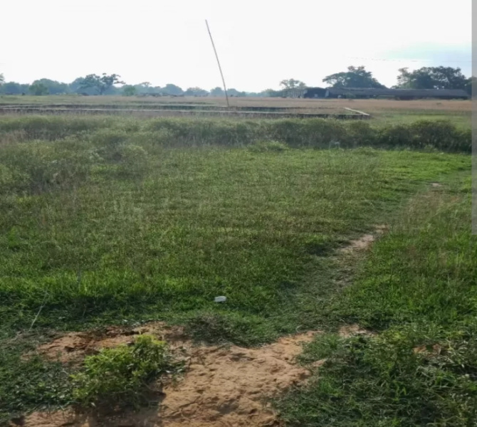  Agricultural Land 8494 Sq.ft. for Sale in Ghatshila, Purbi Singhbhum