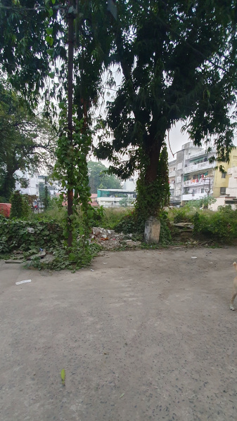  14623 Sq.ft. Residential Plot for Sale in Napier Town, Jabalpur