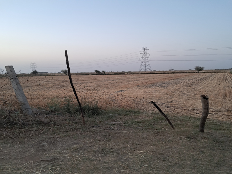  Agricultural Land 4 Bigha for Sale in Ladpura, Kota