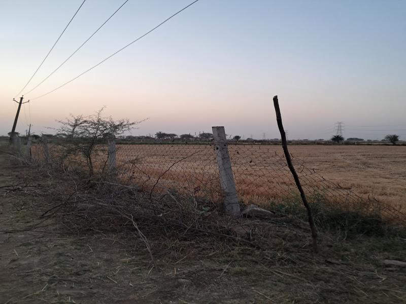  Agricultural Land 4 Bigha for Sale in Ladpura, Kota