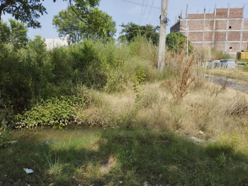  Residential Plot for Sale in Sector 14 Bahadurgarh