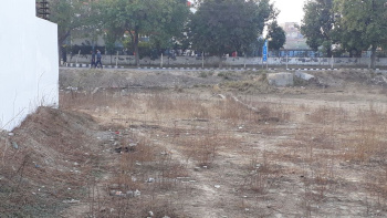  Residential Plot for Sale in Sector 13 Bahadurgarh