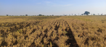  Agricultural Land for Sale in Old Hubli, 