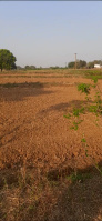  Agricultural Land for Sale in Shadnagar, Hyderabad