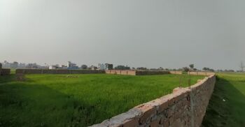  Agricultural Land for Sale in Janipur, Patna
