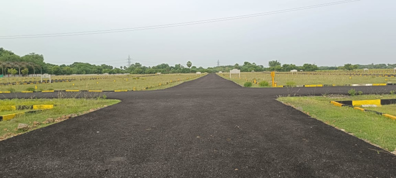  Residential Plot 6500 Sq.ft. for Sale in Balia, Baleswar