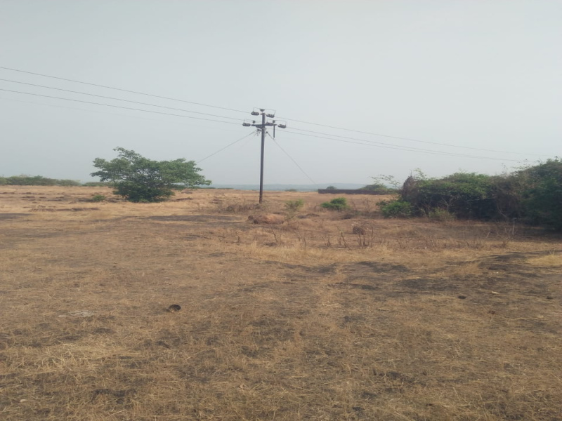  Residential Plot 20 Dismil for Sale in Chandipur Road, Baleswar