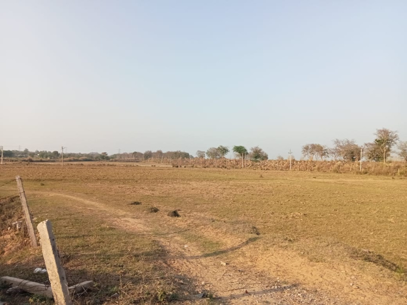  Residential Plot 6 Dismil for Sale in Chandipur Road, Baleswar