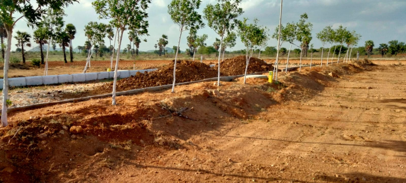  Residential Plot 18 Dismil for Sale in Gopalgaon, Baleswar