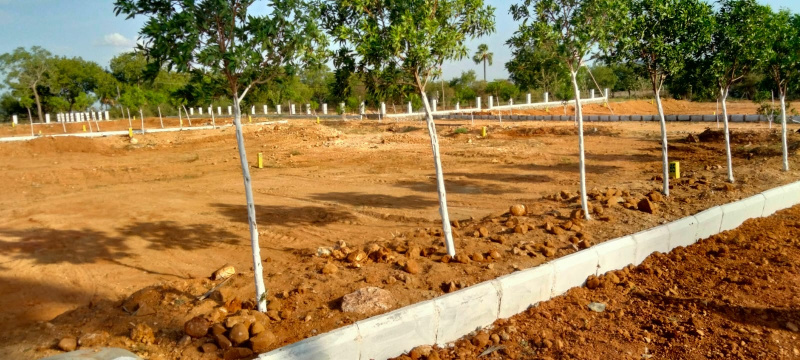  Residential Plot 7 Dismil for Sale in Kuruda, Baleswar