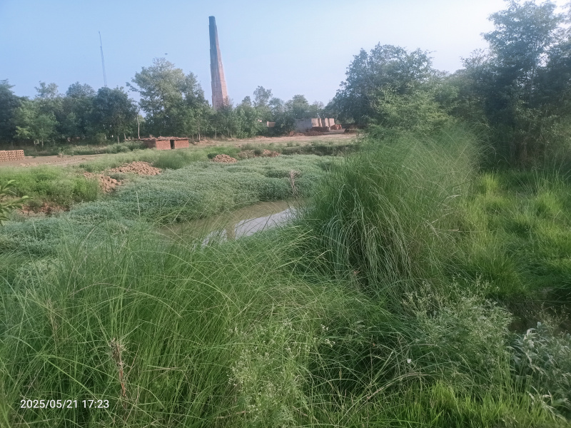  4305 Sq.ft. Agricultural/Farm Land for Sale in Ikauna, Shravasti