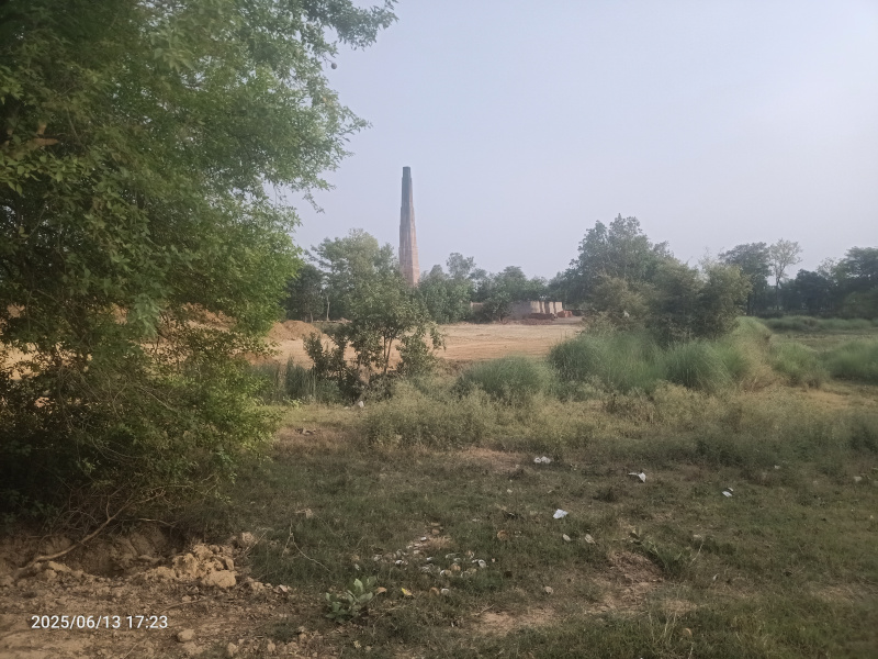  4305 Sq.ft. Agricultural/Farm Land for Sale in Ikauna, Shravasti