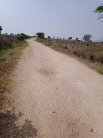  Agricultural Land for Sale in Nampally, Hyderabad