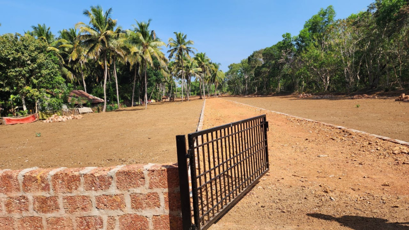 Agricultural Land 13 Guntha for Sale in Kumta, Uttara Kannada