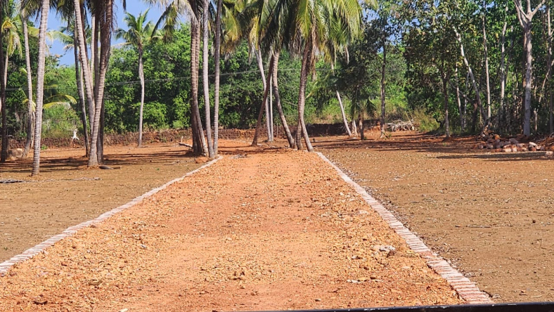  Agricultural Land 13 Guntha for Sale in Kumta, Uttara Kannada