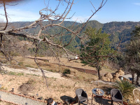 Residential Plot for Sale in Mukteshwar, Nainital