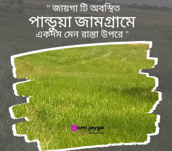 1 Bigha Agricultural Land for Sale in Pandua, Hooghly