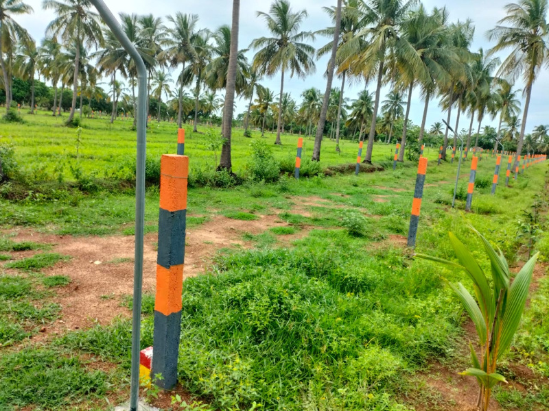  Agricultural Land 10000 Sq.ft. for Sale in Madurantakam, Chennai