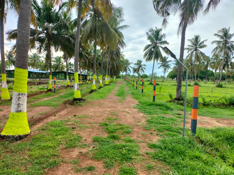  Agricultural Land 10000 Sq.ft. for Sale in Madurantakam, Chennai