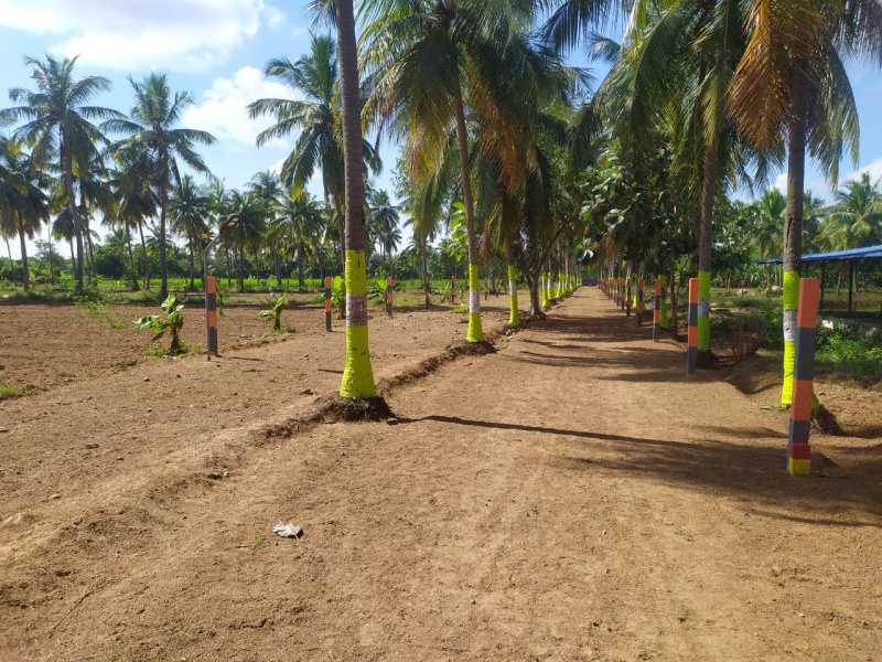  Agricultural Land 10000 Sq.ft. for Sale in Madurantakam, Chennai