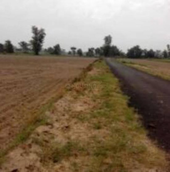  Agricultural Land for Sale in Chapra, Saran
