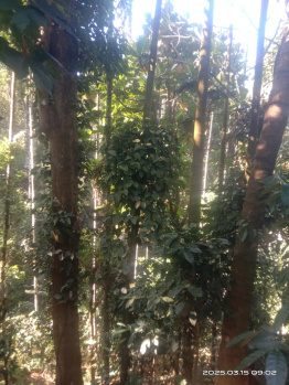  Agricultural Land for Sale in Udayampalayam, Coimbatore