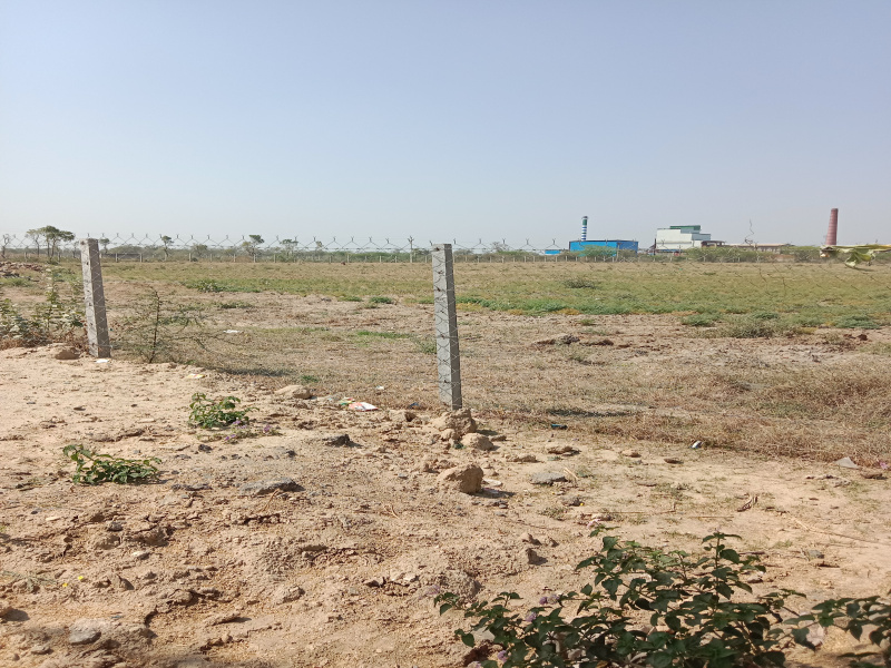 Agricultural Land 300000 Sq.ft. for Sale in Gangapur, Bhilwara