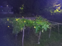  Agricultural Land for Sale in Bidholi, Dehradun