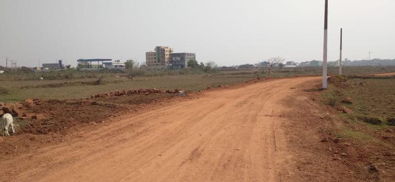 Residential Plot 2000 Sq.ft. for Sale in Badasankha, Puri