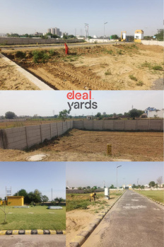  Residential Plot for Sale in Sector 6 Dharuhera