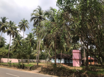  Commercial Land for Sale in Guruvayur, Thrissur
