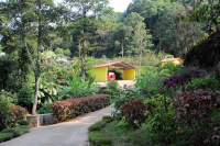 8 BHK House for Sale in Kadakola, Mysore