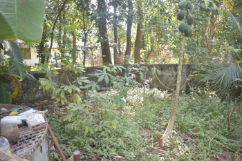  Residential Plot for Sale in Ayyanthole, Thrissur