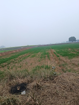  Agricultural Land for Sale in Pataudi, Gurgaon