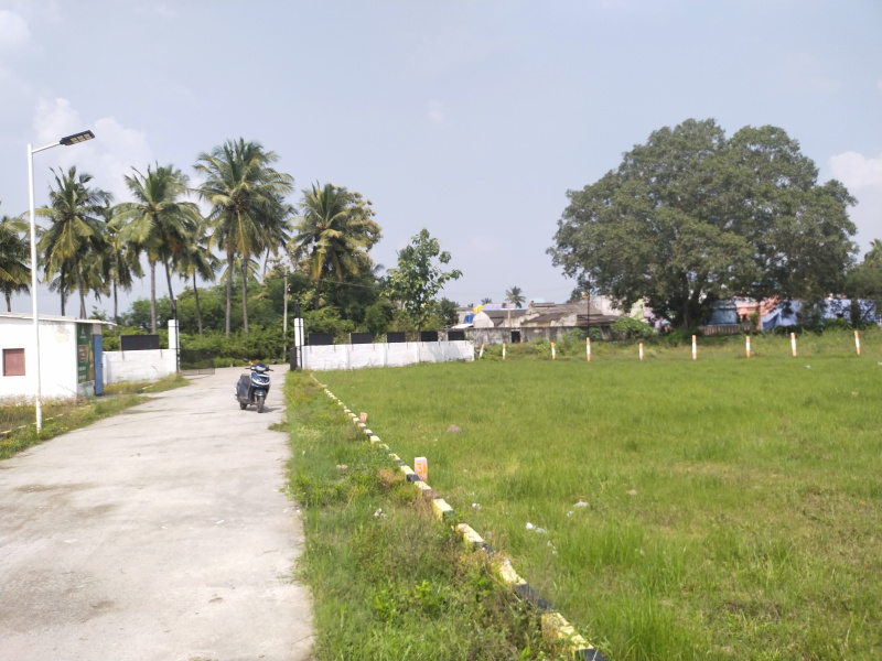 Kaivandur, Thiruvallur photo 2