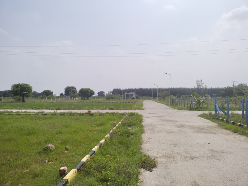 Kaivandur, Thiruvallur photo 3