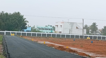  Residential Plot for Sale in Cantonment, Tiruchirappalli