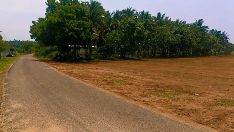 Residential Plot 1200 Sq.ft. for Sale in Othakalmandapam, Coimbatore