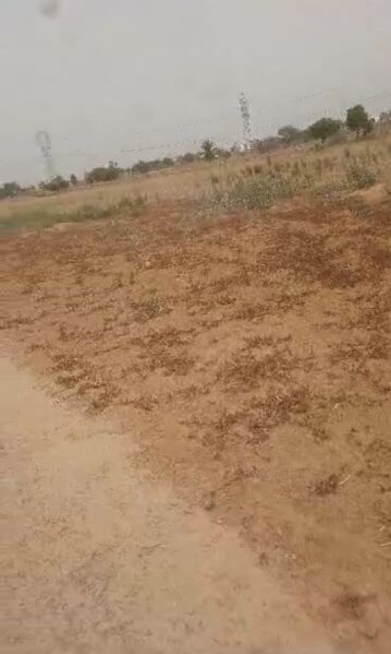  Residential Plot 120 Sq. Yards for Sale in Sector 95 Gurgaon