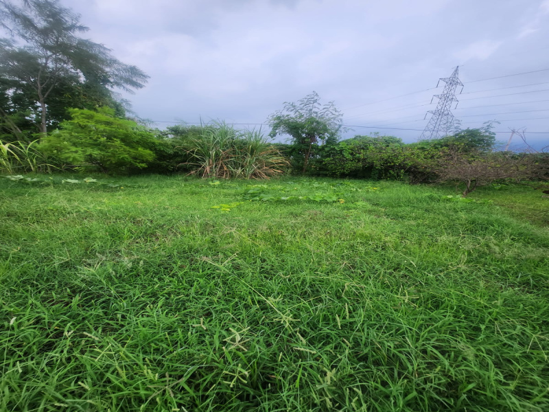  Agricultural Land 70 Acre for Sale in Kulana, Jhajjar