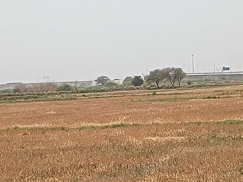  Agricultural Land 75 Acre for Sale in Sohna Palwal Road, Sohna Palwal Road, Gurgaon