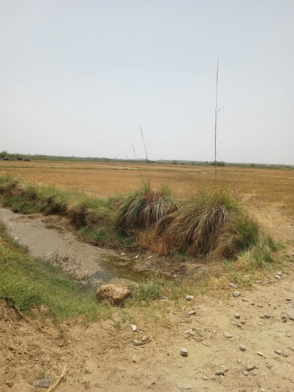  Agricultural Land 75 Acre for Sale in Sohna Palwal Road, Sohna Palwal Road, Gurgaon