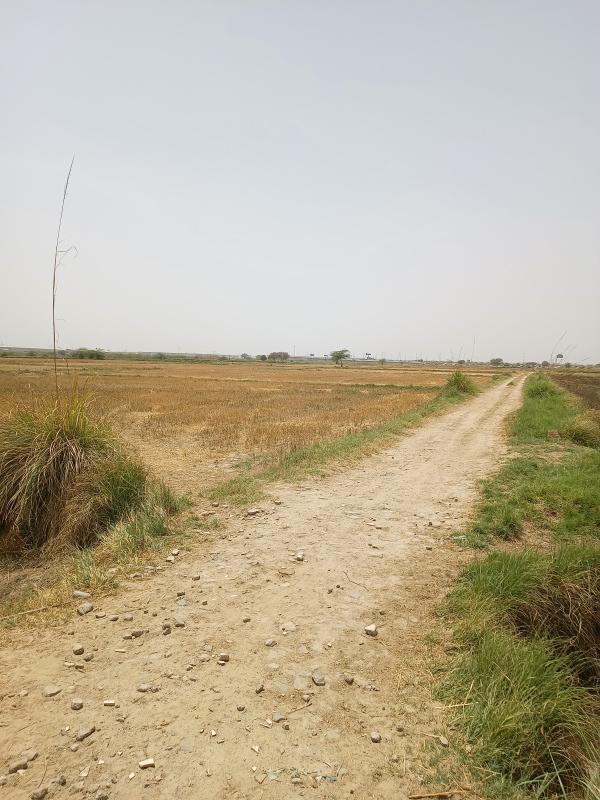  Agricultural Land 75 Acre for Sale in Sohna Palwal Road, Sohna Palwal Road, Gurgaon