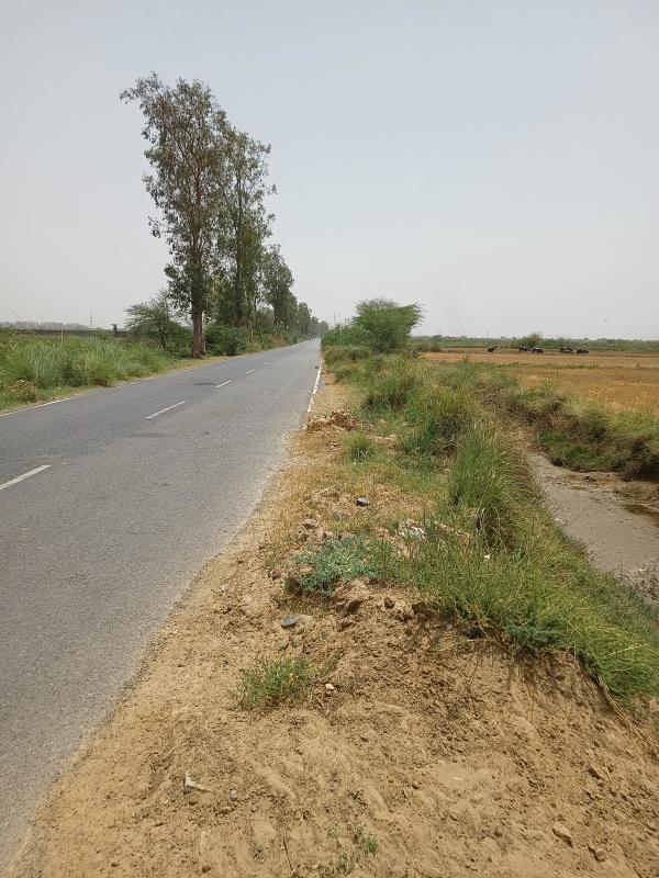  Agricultural Land 100 Acre for Sale in Sohna Palwal Road, Sohna Palwal Road, Gurgaon
